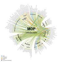 MDP Landscape